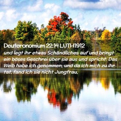 Picture 02 - Deuteronomium 22:14 LUTH1912 - und legt ihr etwas Schändliches auf und bringt - Bible Verse Picture