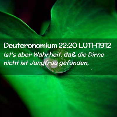 Picture 02 - Deuteronomium 22:20 LUTH1912 - Ist's aber Wahrheit, daß die Dirne nicht ist - Bible Verse Picture