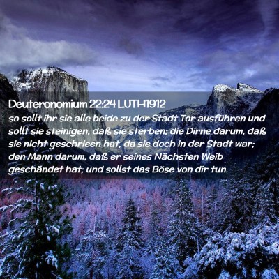 Picture 02 - Deuteronomium 22:24 LUTH1912 - so sollt ihr sie alle beide zu der Stadt Tor - Bible Verse Picture