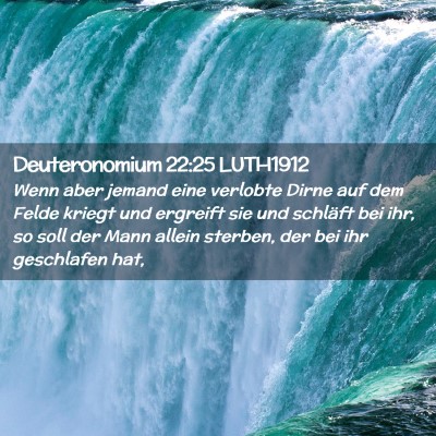 Picture 02 - Deuteronomium 22:25 LUTH1912 - Wenn aber jemand eine verlobte Dirne auf dem - Bible Verse Picture
