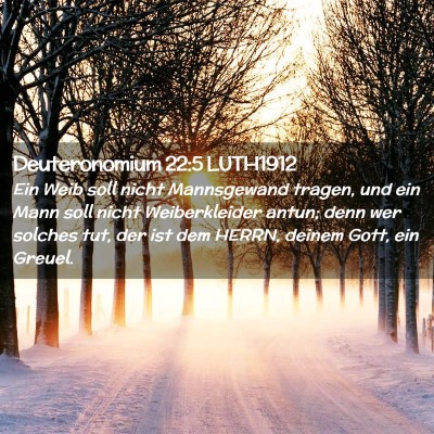 Picture 02 - Deuteronomium 22:5 LUTH1912 - Ein Weib soll nicht Mannsgewand tragen, und ein - Bible Verse Picture