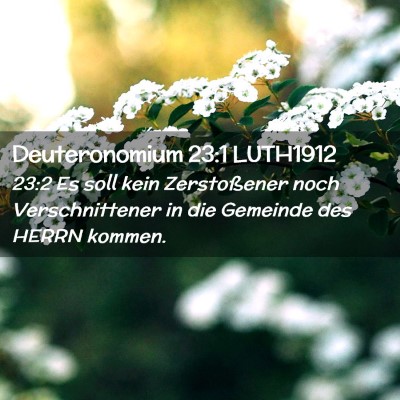Picture 02 - Deuteronomium 23:1 LUTH1912 - 23:2 Es soll kein Zerstoßener noch - Bible Verse Picture