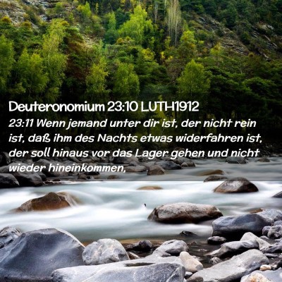 Picture 02 - Deuteronomium 23:10 LUTH1912 - 23:11 Wenn jemand unter dir ist, der nicht rein - Bible Verse Picture