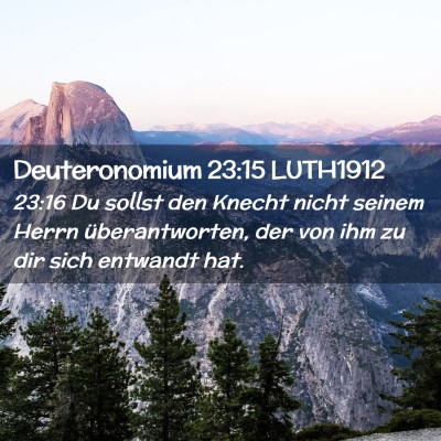 Picture 02 - Deuteronomium 23:15 LUTH1912 - 23:16 Du sollst den Knecht nicht seinem Herrn - Bible Verse Picture