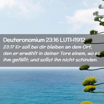 Picture 02 - Deuteronomium 23:16 LUTH1912 - 23:17 Er soll bei dir bleiben an dem Ort, den er - Bible Verse Picture