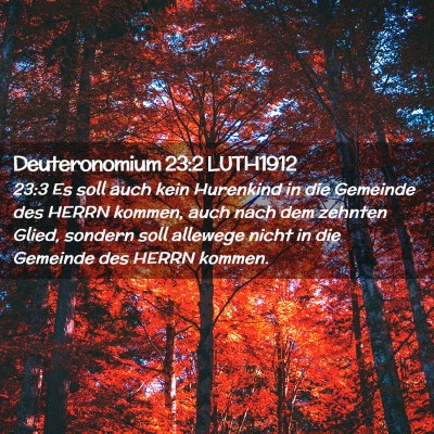 Picture 02 - Deuteronomium 23:2 LUTH1912 - 23:3 Es soll auch kein Hurenkind in die Gemeinde - Bible Verse Picture