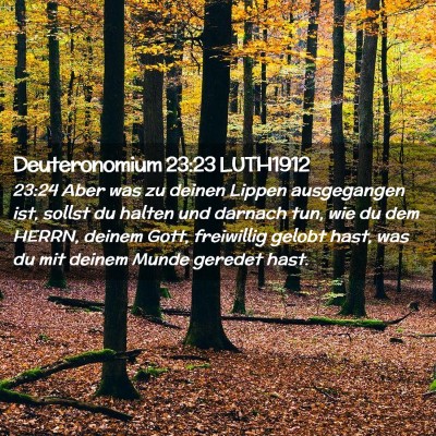 Picture 02 - Deuteronomium 23:23 LUTH1912 - 23:24 Aber was zu deinen Lippen ausgegangen ist, - Bible Verse Picture