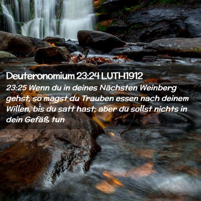 Picture 02 - Deuteronomium 23:24 LUTH1912 - 23:25 Wenn du in deines Nächsten Weinberg gehst, - Bible Verse Picture