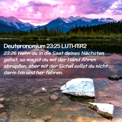 Picture 02 - Deuteronomium 23:25 LUTH1912 - 23:26 Wenn du in die Saat deines Nächsten gehst, - Bible Verse Picture