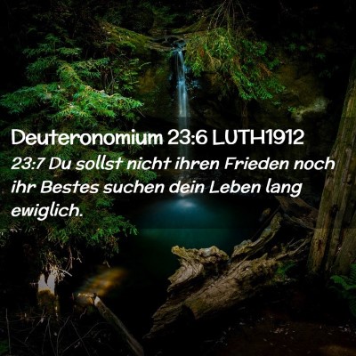 Picture 02 - Deuteronomium 23:6 LUTH1912 - 23:7 Du sollst nicht ihren Frieden noch ihr - Bible Verse Picture