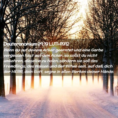 Picture 02 - Deuteronomium 24:19 LUTH1912 - Wenn du auf deinem Acker geerntet und eine Garbe - Bible Verse Picture