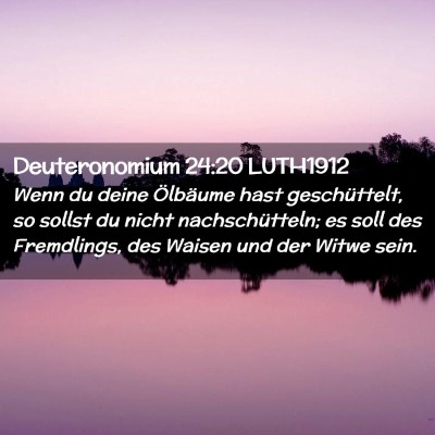 Picture 02 - Deuteronomium 24:20 LUTH1912 - Wenn du deine Ölbäume hast geschüttelt, so - Bible Verse Picture