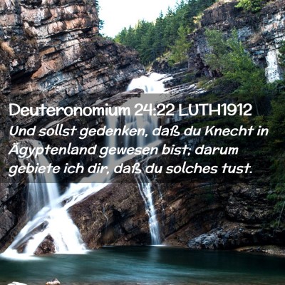 Picture 02 - Deuteronomium 24:22 LUTH1912 - Und sollst gedenken, daß du Knecht in - Bible Verse Picture