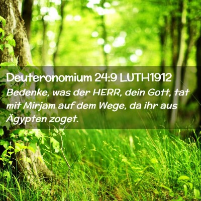 Picture 02 - Deuteronomium 24:9 LUTH1912 - Bedenke, was der HERR, dein Gott, tat mit Mirjam - Bible Verse Picture