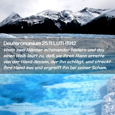 Picture 02 - Deuteronomium 25:11 LUTH1912 - Wenn zwei Männer miteinander hadern und des - Bible Verse Picture
