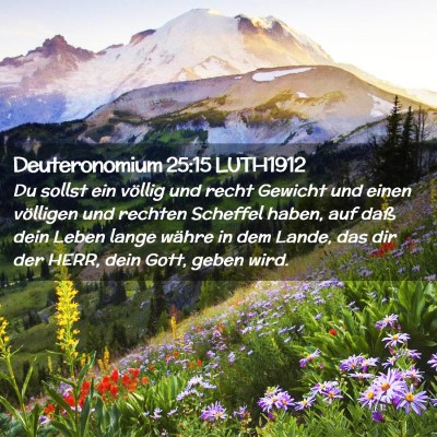Picture 02 - Deuteronomium 25:15 LUTH1912 - Du sollst ein völlig und recht Gewicht und einen - Bible Verse Picture
