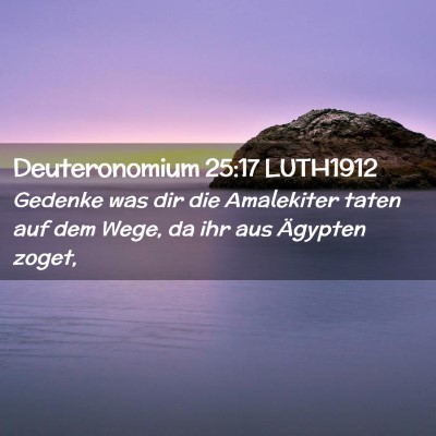 Picture 02 - Deuteronomium 25:17 LUTH1912 - Gedenke was dir die Amalekiter taten auf dem - Bible Verse Picture