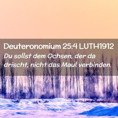 Picture 02 - Deuteronomium 25:4 LUTH1912 - Du sollst dem Ochsen, der da drischt, nicht das - Bible Verse Picture