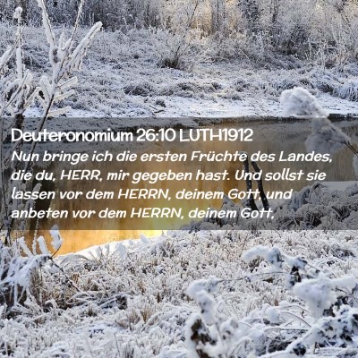 Picture 02 - Deuteronomium 26:10 LUTH1912 - Nun bringe ich die ersten Früchte des Landes, - Bible Verse Picture