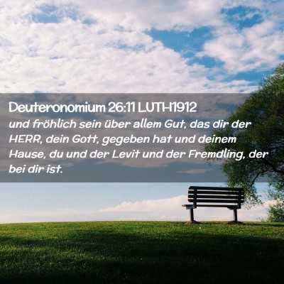 Picture 02 - Deuteronomium 26:11 LUTH1912 - und fröhlich sein über allem Gut, das dir der - Bible Verse Picture