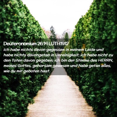 Picture 02 - Deuteronomium 26:14 LUTH1912 - ich habe nichts davon gegessen in meinem Leide - Bible Verse Picture