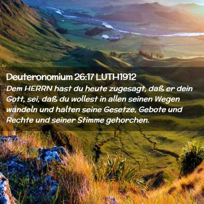 Picture 02 - Deuteronomium 26:17 LUTH1912 - Dem HERRN hast du heute zugesagt, daß er dein - Bible Verse Picture