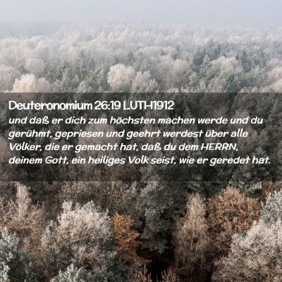 Picture 02 - Deuteronomium 26:19 LUTH1912 - und daß er dich zum höchsten machen werde und - Bible Verse Picture