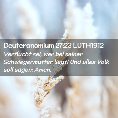 Picture 02 - Deuteronomium 27:23 LUTH1912 - Verflucht sei, wer bei seiner Schwiegermutter - Bible Verse Picture