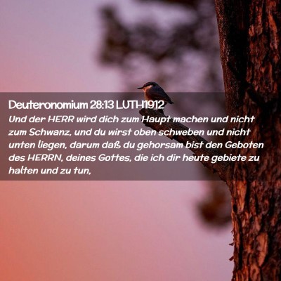 Picture 02 - Deuteronomium 28:13 LUTH1912 - Und der HERR wird dich zum Haupt machen und nicht - Bible Verse Picture