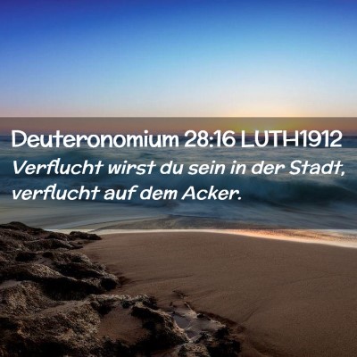 Picture 02 - Deuteronomium 28:16 LUTH1912 - Verflucht wirst du sein in der Stadt, verflucht - Bible Verse Picture