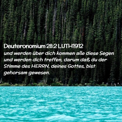 Picture 02 - Deuteronomium 28:2 LUTH1912 - und werden über dich kommen alle diese Segen und - Bible Verse Picture