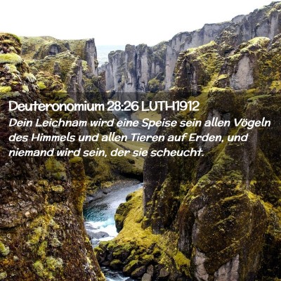 Picture 02 - Deuteronomium 28:26 LUTH1912 - Dein Leichnam wird eine Speise sein allen Vögeln - Bible Verse Picture