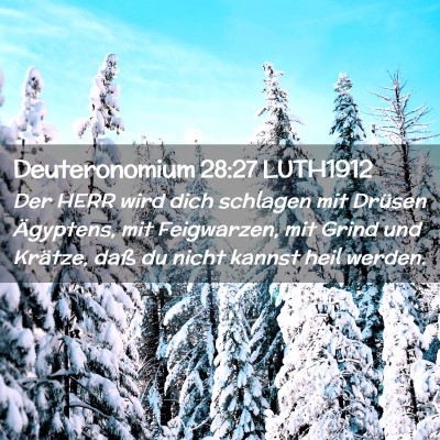 Picture 02 - Deuteronomium 28:27 LUTH1912 - Der HERR wird dich schlagen mit Drüsen - Bible Verse Picture