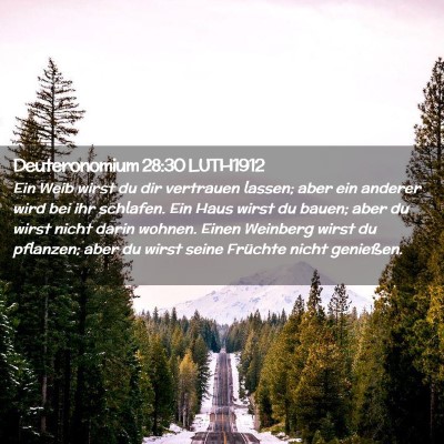 Picture 02 - Deuteronomium 28:30 LUTH1912 - Ein Weib wirst du dir vertrauen lassen; aber ein - Bible Verse Picture