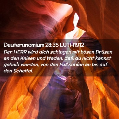 Picture 02 - Deuteronomium 28:35 LUTH1912 - Der HERR wird dich schlagen mit bösen Drüsen an - Bible Verse Picture