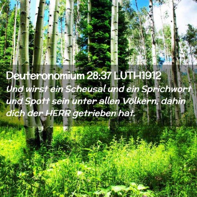 Picture 02 - Deuteronomium 28:37 LUTH1912 - Und wirst ein Scheusal und ein Sprichwort und - Bible Verse Picture
