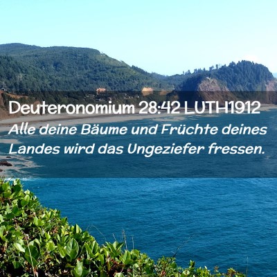 Picture 02 - Deuteronomium 28:42 LUTH1912 - Alle deine Bäume und Früchte deines Landes wird - Bible Verse Picture