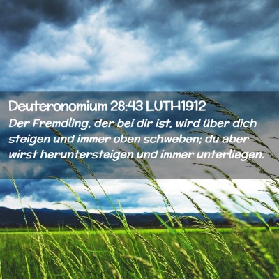 Picture 02 - Deuteronomium 28:43 LUTH1912 - Der Fremdling, der bei dir ist, wird über dich - Bible Verse Picture