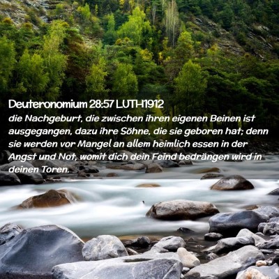 Picture 02 - Deuteronomium 28:57 LUTH1912 - die Nachgeburt, die zwischen ihren eigenen Beinen - Bible Verse Picture