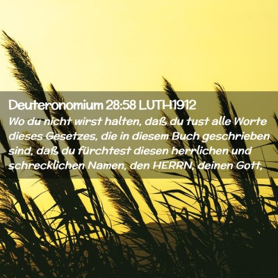 Picture 02 - Deuteronomium 28:58 LUTH1912 - Wo du nicht wirst halten, daß du tust alle Worte - Bible Verse Picture