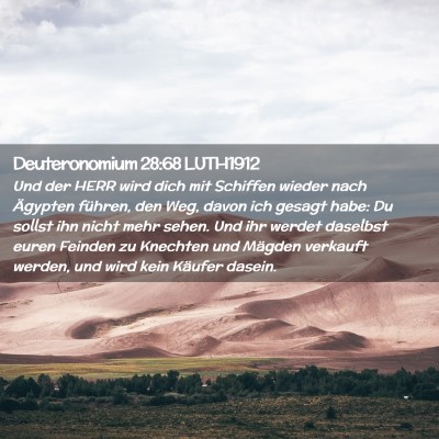 Picture 02 - Deuteronomium 28:68 LUTH1912 - Und der HERR wird dich mit Schiffen wieder nach - Bible Verse Picture