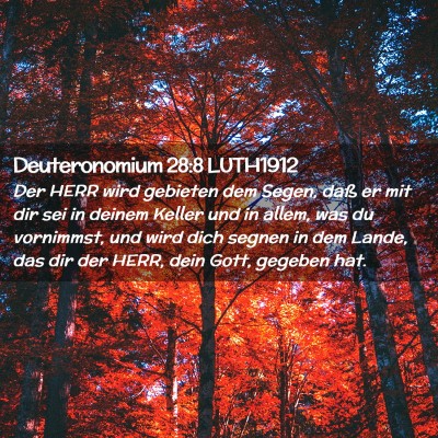 Picture 02 - Deuteronomium 28:8 LUTH1912 - Der HERR wird gebieten dem Segen, daß er mit dir - Bible Verse Picture