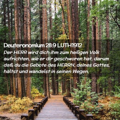 Picture 02 - Deuteronomium 28:9 LUTH1912 - Der HERR wird dich ihm zum heiligen Volk - Bible Verse Picture