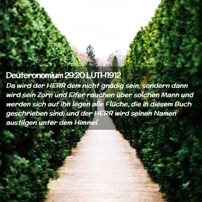 Picture 02 - Deuteronomium 29:20 LUTH1912 - Da wird der HERR dem nicht gnädig sein; sondern - Bible Verse Picture