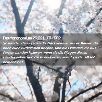 Picture 02 - Deuteronomium 29:22 LUTH1912 - So werden dann sagen die Nachkommen eurer Kinder, - Bible Verse Picture