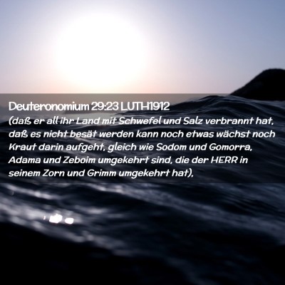 Picture 02 - Deuteronomium 29:23 LUTH1912 - (daß er all ihr Land mit Schwefel und Salz - Bible Verse Picture