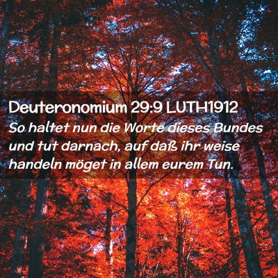 Picture 02 - Deuteronomium 29:9 LUTH1912 - So haltet nun die Worte dieses Bundes und tut - Bible Verse Picture