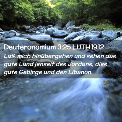 Picture 02 - Deuteronomium 3:25 LUTH1912 - Laß mich hinübergehen und sehen das gute Land - Bible Verse Picture