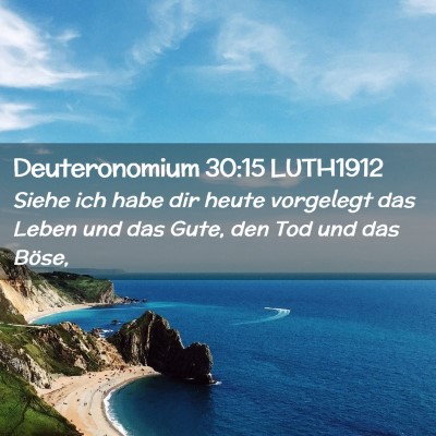 Picture 02 - Deuteronomium 30:15 LUTH1912 - Siehe ich habe dir heute vorgelegt das Leben und - Bible Verse Picture