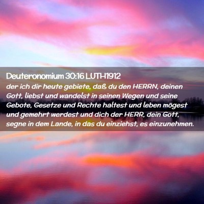 Picture 02 - Deuteronomium 30:16 LUTH1912 - der ich dir heute gebiete, daß du den HERRN, - Bible Verse Picture